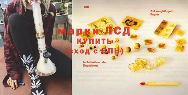 сатива Строитель