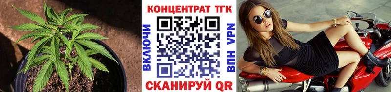 как найти наркотики  Кирово-Чепецк  мега вход  Дистиллят ТГК гашишное масло 