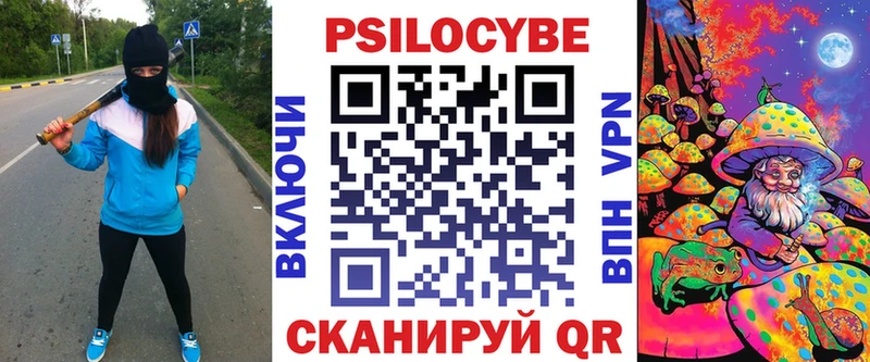 Псилоцибиновые грибы Psilocybe Кирово-Чепецк